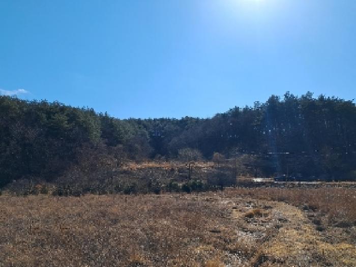 2025타경30449 경매 물건 대표 사진
