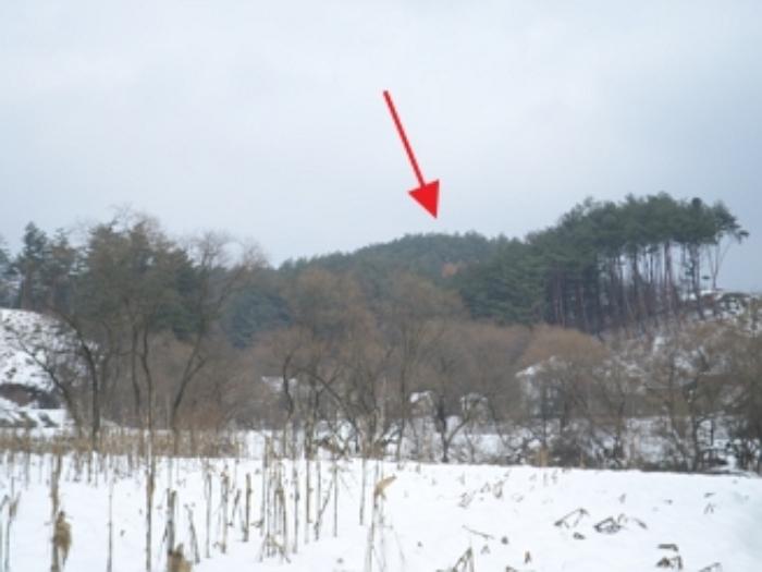 2024타경3291 경매 물건 대표 사진