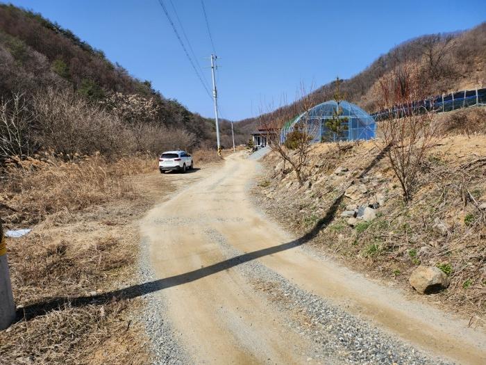 2024타경490 경매 물건 대표 사진
