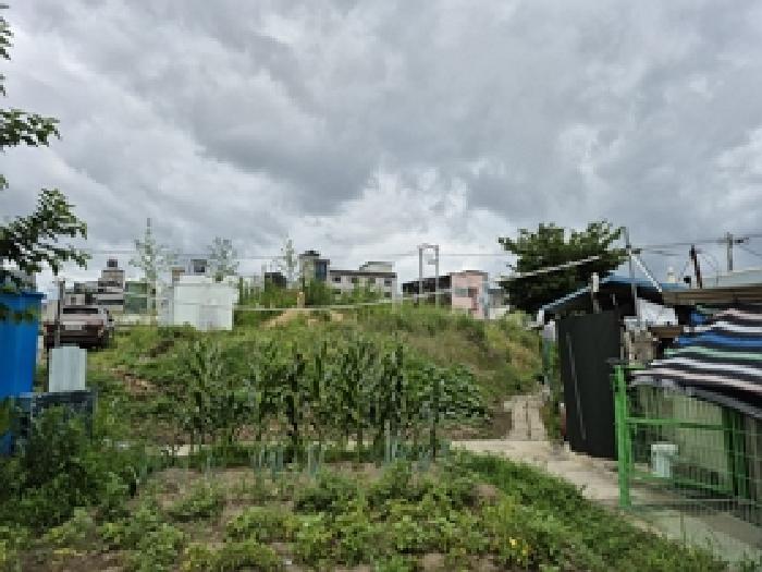 2025타경1209 경매 물건 대표 사진