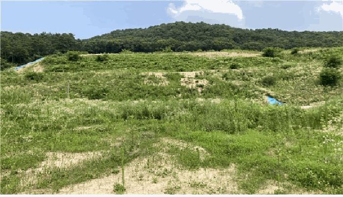 2025타경1322 경매 물건 대표 사진