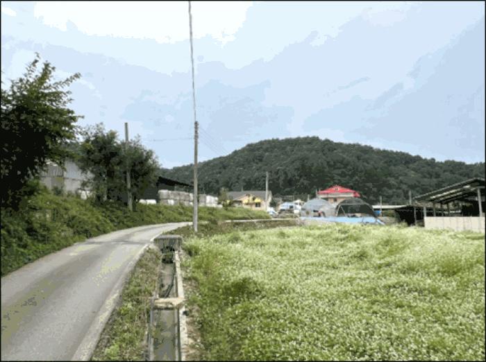 2025타경1803 경매 물건 대표 사진
