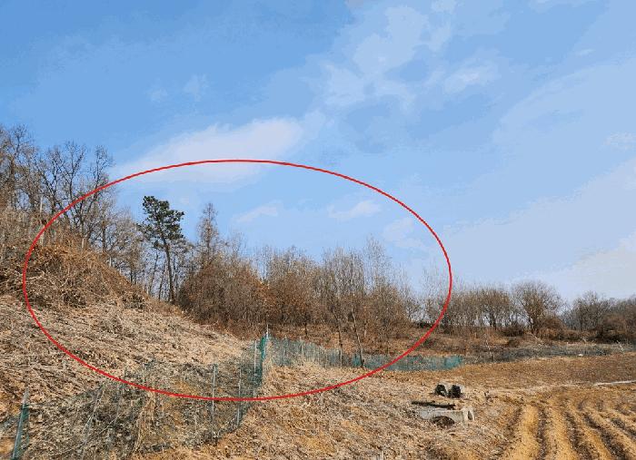 2025타경20513 경매 물건 대표 사진