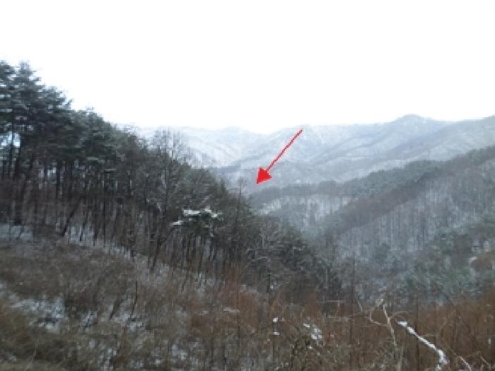 2025타경20515 경매 물건 대표 사진