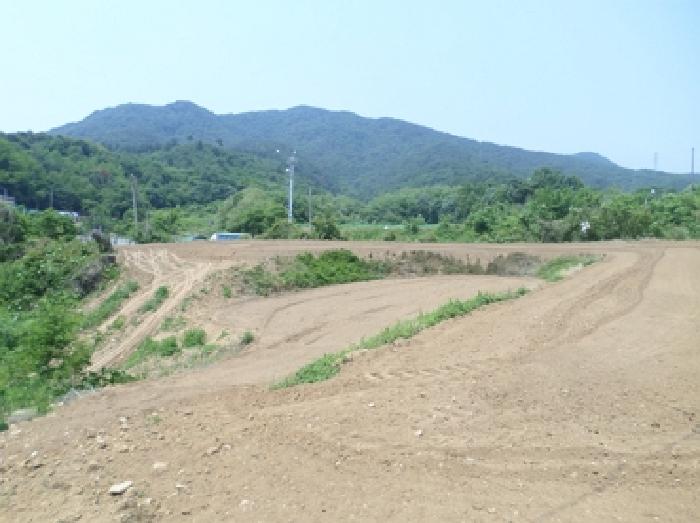 2025타경20582 경매 물건 대표 사진