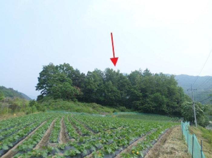2025타경20611 경매 물건 대표 사진