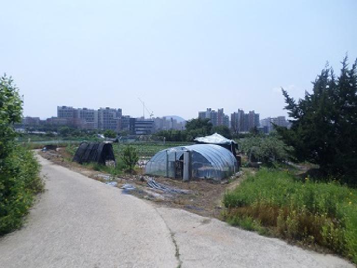 2025타경20635 경매 물건 대표 사진