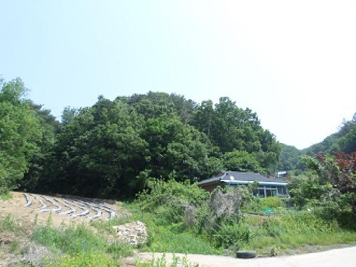 2025타경20642 경매 물건 대표 사진