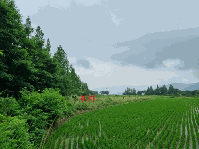 2025타경20689 경매 물건 대표 사진