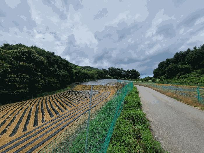 2025타경20725 경매 물건 대표 사진