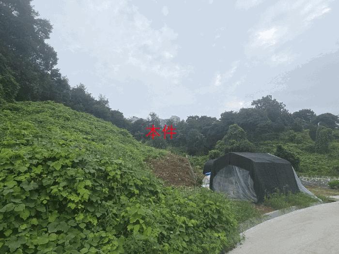 2025타경20831 경매 물건 대표 사진