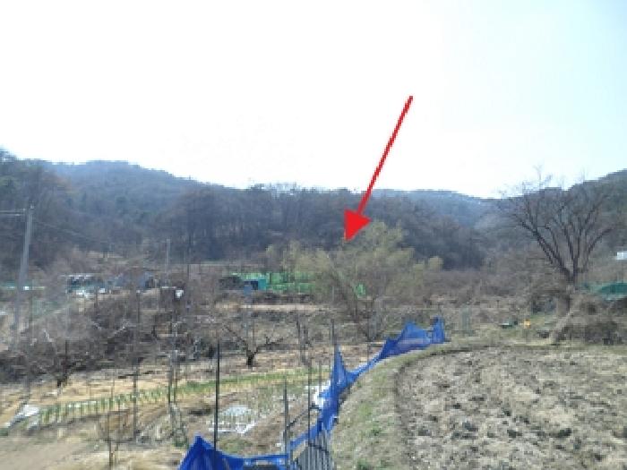 2025타경534 경매 물건 대표 사진