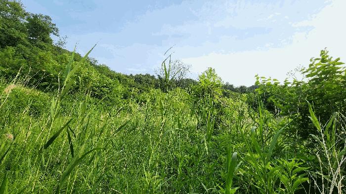 2025타경985 경매 물건 대표 사진