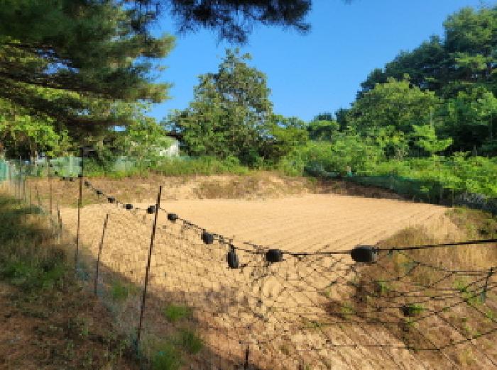2025타경10298 경매 물건 대표 사진