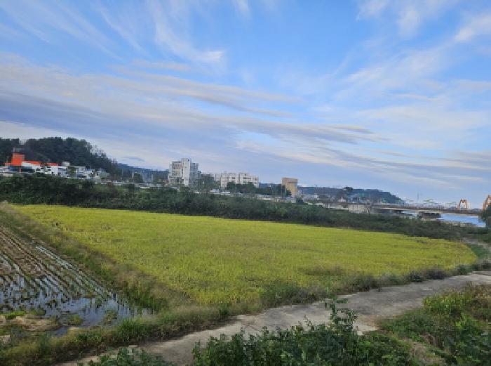 2025타경10384 경매 물건 대표 사진