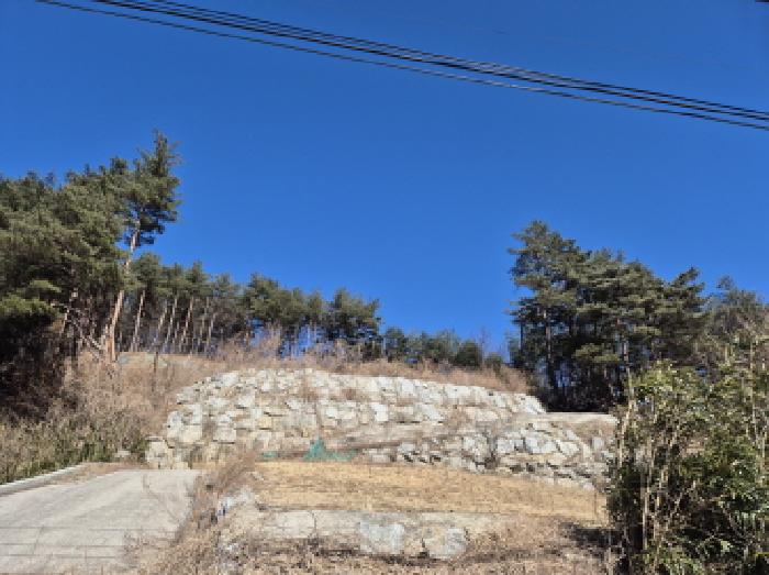2025타경193 경매 물건 대표 사진