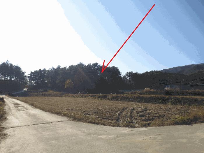 2025타경302 경매 물건 대표 사진