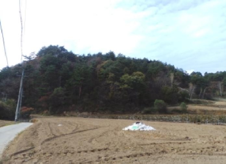 2024타경32509 경매 물건 대표 사진