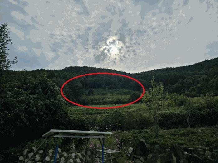 2025타경1311 경매 물건 대표 사진