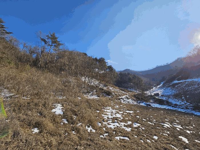 2025타경30128 경매 물건 대표 사진