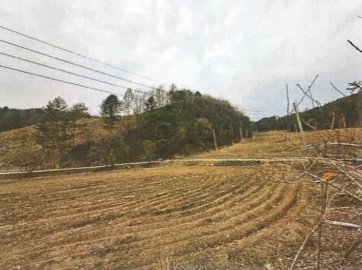 2025타경30393 경매 물건 대표 사진