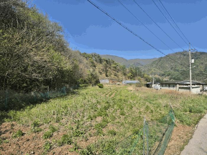 2025타경30421 경매 물건 대표 사진