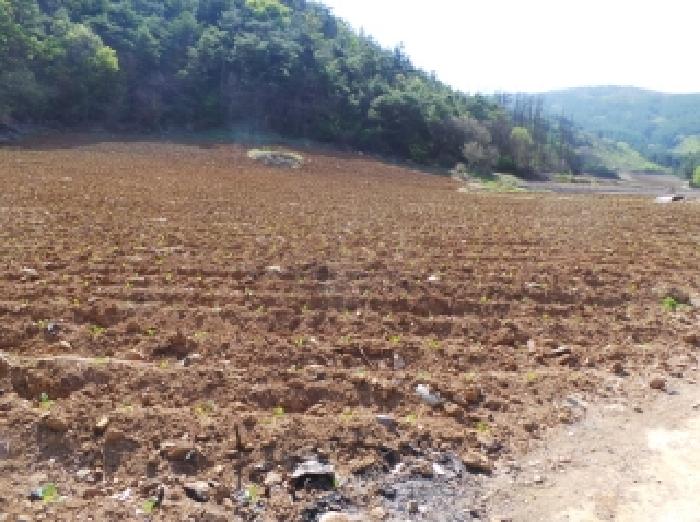 2025타경30432 경매 물건 대표 사진