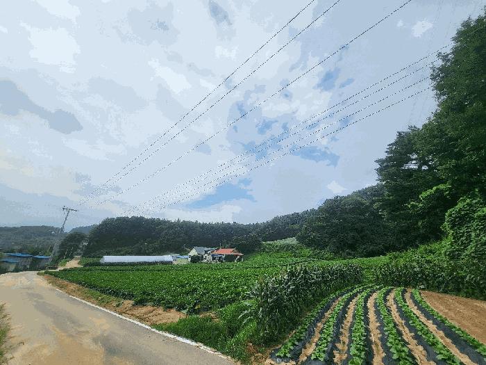 2025타경30456 경매 물건 대표 사진