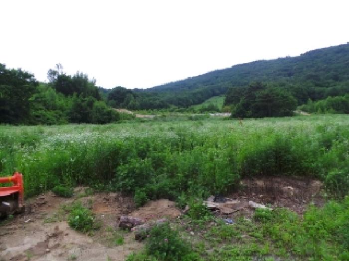 2025타경30489 경매 물건 대표 사진