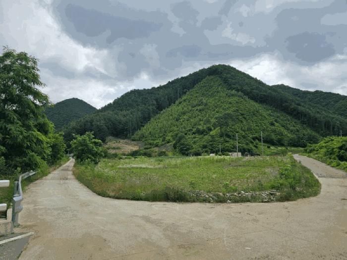 2025타경30496 경매 물건 대표 사진