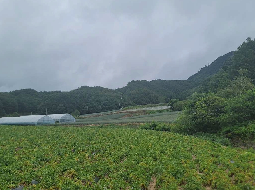 2025타경30507 경매 물건 대표 사진