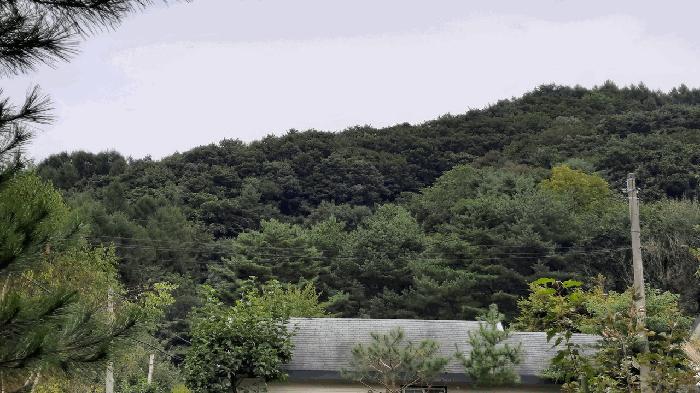 2025타경30588 경매 물건 대표 사진