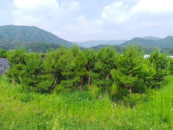 2025타경783 경매 물건 대표 사진
