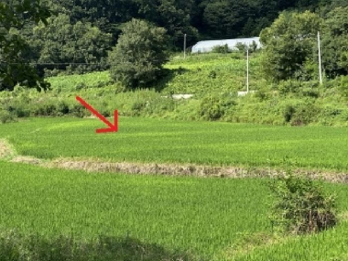 2025타경3459 경매 물건 대표 사진