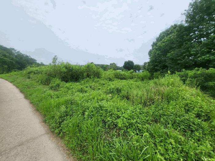 2025타경3633 경매 물건 대표 사진