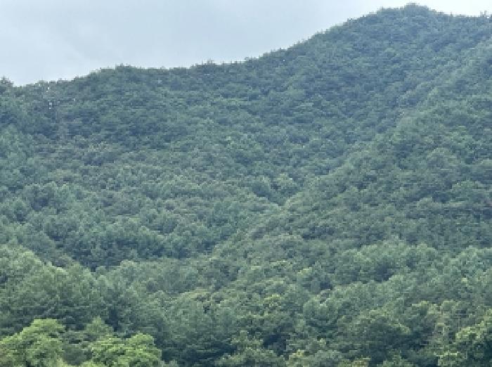 2025타경51440 경매 물건 대표 사진