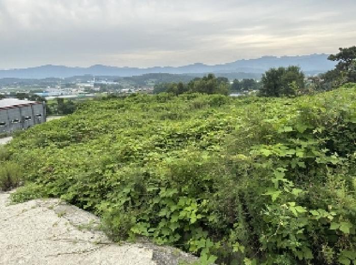2025타경51543 경매 물건 대표 사진