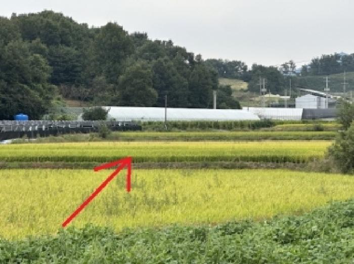 2025타경51781 경매 물건 대표 사진