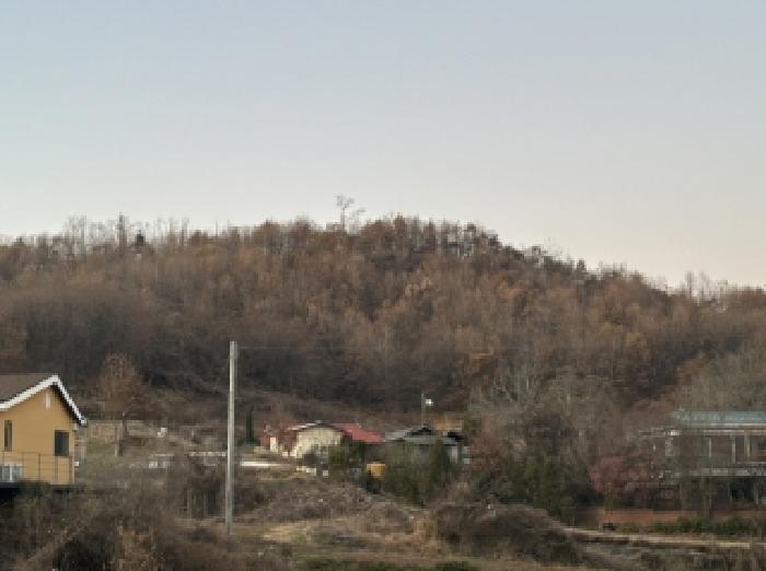2025타경51918 경매 물건 대표 사진