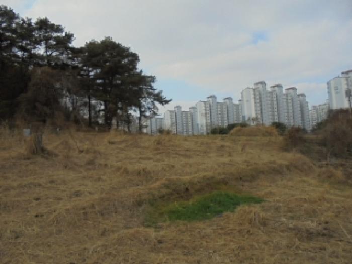 2025타경51928 경매 물건 대표 사진