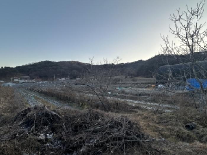 2025타경52147 청주지방법원 전답 법원경매 사진