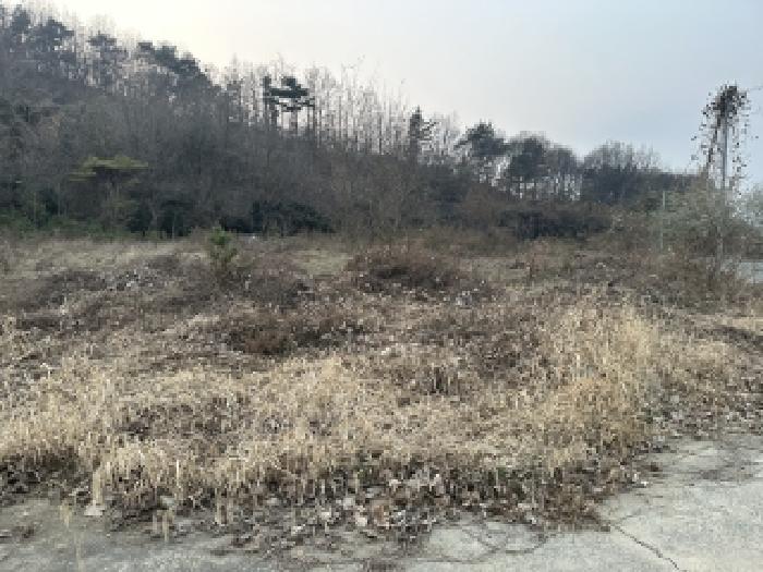 2025타경5332 경매 물건 대표 사진