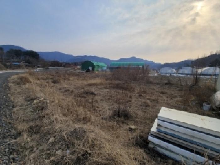 2026타경50054 청주지방법원 전답 법원경매 사진
