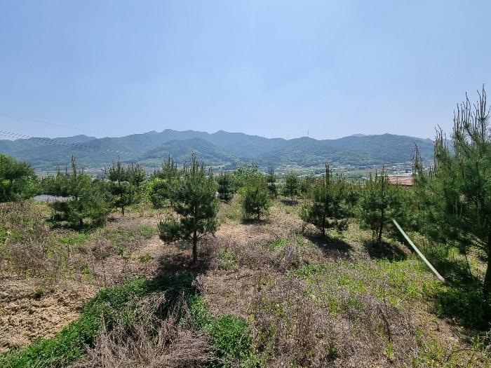 2024타경1404 경매 물건 대표 사진