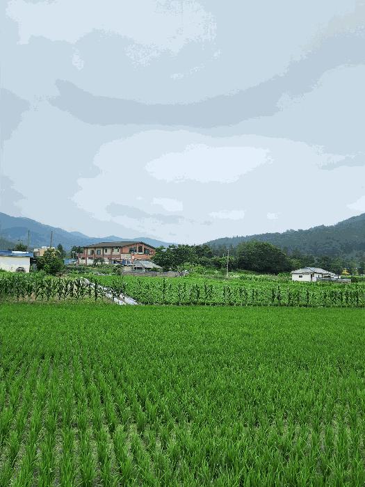 2024타경33975 경매 물건 대표 사진