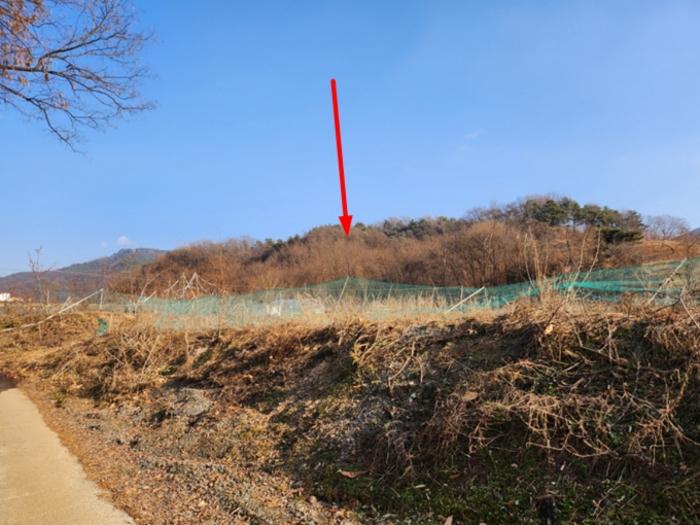 2024타경36042 경매 물건 대표 사진