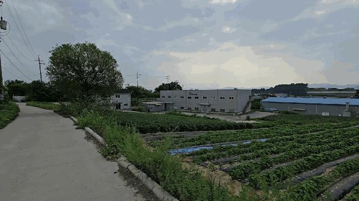2025타경1951 경매 물건 대표 사진