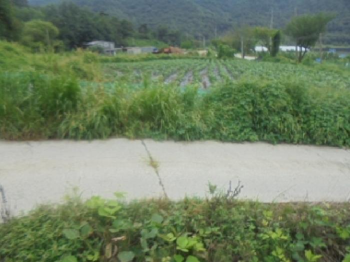 2025타경2022 경매 물건 대표 사진