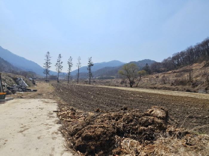 2025타경30427 경매 물건 대표 사진