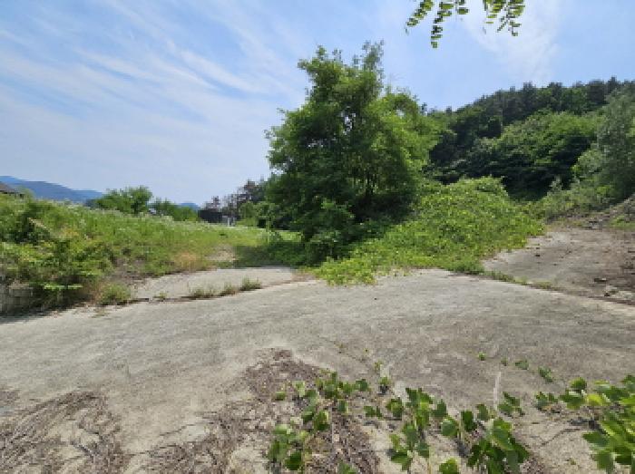 2025타경30606 경매 물건 대표 사진